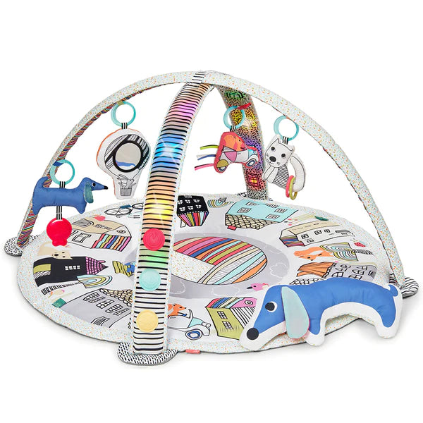 SKIP HOP VIBRANT VILLAGE SMART LIGHTS ACTIVITY GYM