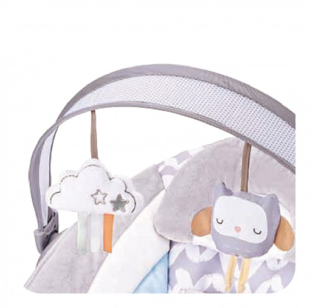 Lucky Baby Infant To Toddler Portable Deluxe Bouncer