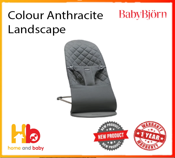 Baby Bjorn Bouncer Bliss Cotton Dark Grey Frame - Assorted Colours