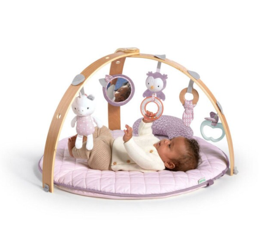 Ingenuity Cozy Spot Activity Gym - Calla