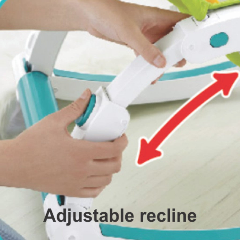 Shears Baby Rocker Musical Portable Rocker (Green / Pink)