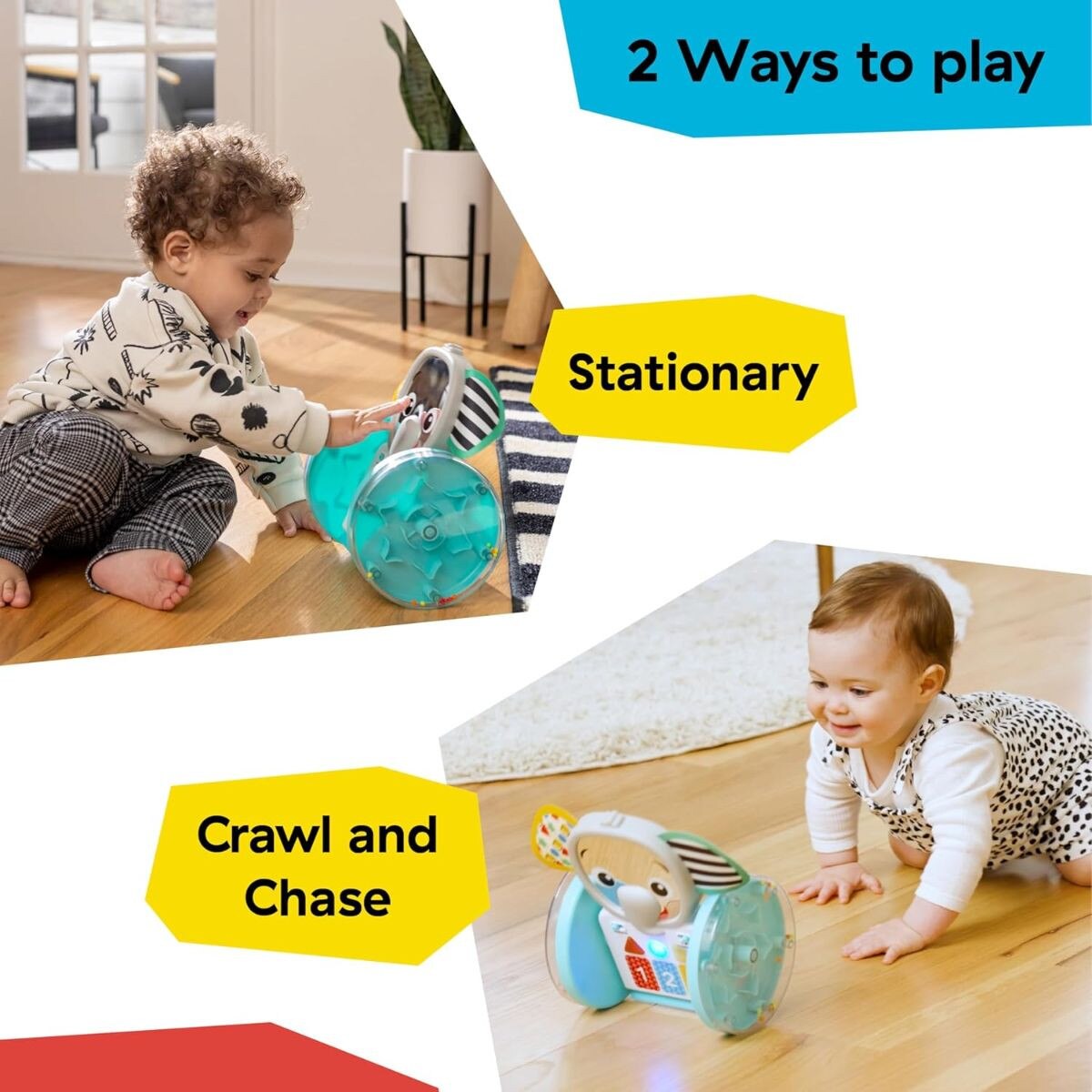 Baby Einstein Chase & Tap Earl Interactive Crawling Toy