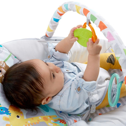 Bright Starts Vibrating Bouncer - Assorted Designs