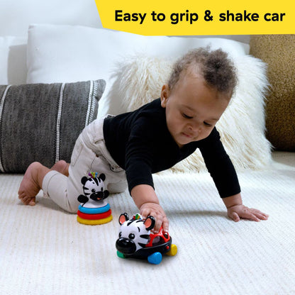 Baby Einstein Zen The Zebra Gift Set