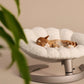 Tavo Shell Pet Bed and Swaying Lounger (5 Years Warranty)
