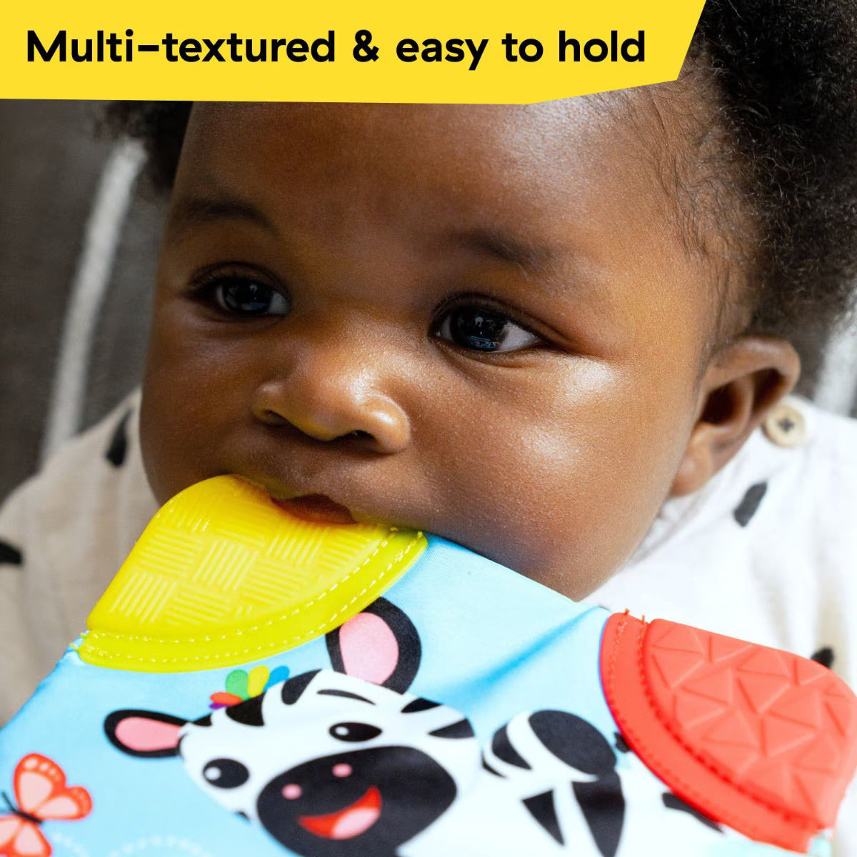 Baby Einstein Zen The Zebra Gift Set