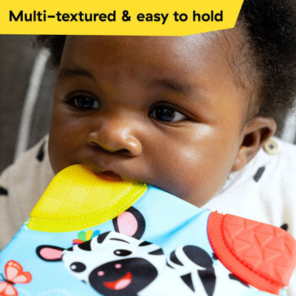 Baby Einstein Zen The Zebra Gift Set