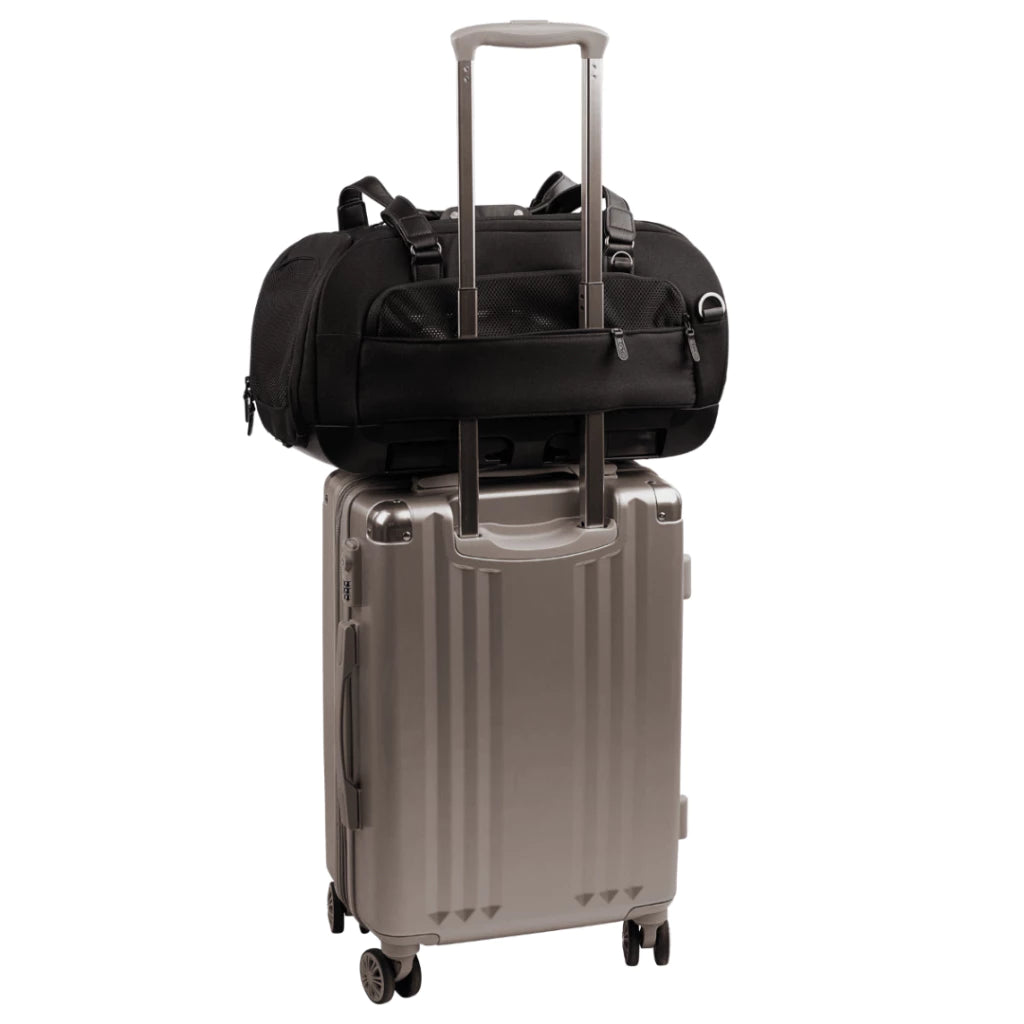 Tavo Dupree II Pet Airline Carrier Pet Car Seat (5 Years Warranty)