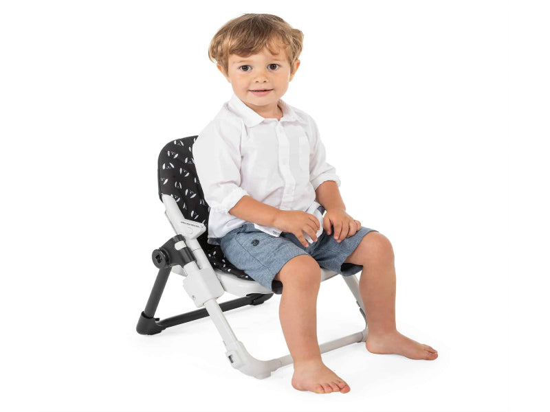 Chicco Chairy Booster Seat - Sweetdog / Bunny / Ladybug