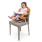 Chicco booster seat pocket snack