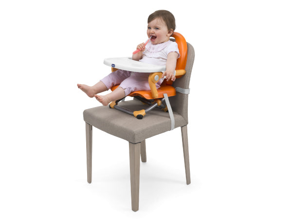 Chicco booster seat pocket snack