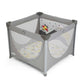 Joie Cheer Little Explorer