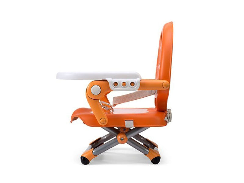 Chicco booster seat pocket snack
