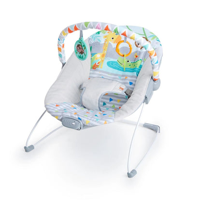 Bright Starts Vibrating Bouncer - Assorted Designs