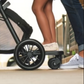 Evenflo Sibby™ Stroller