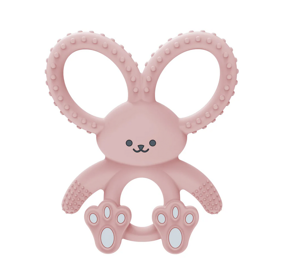 Dr Brown's Bunny Long Limbed Silicone Teether