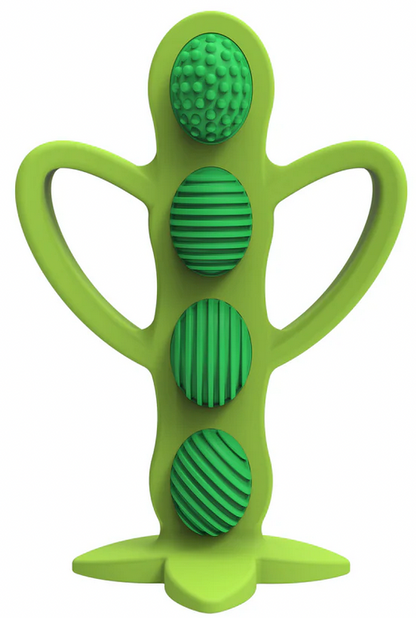 Dr. Brown’s™ Teether + Training Toothbrush – Peapod