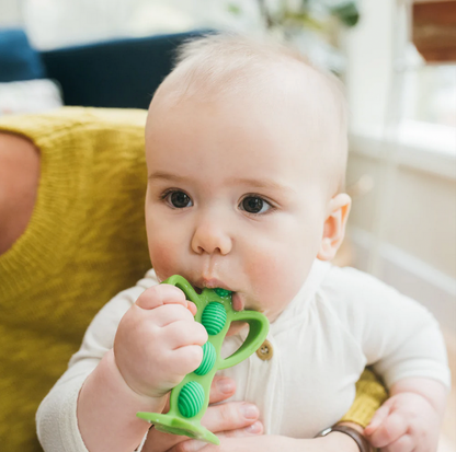 Dr. Brown’s™ Teether + Training Toothbrush – Peapod
