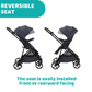 Chicco Seety Stroller (3 Colours)