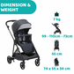 Chicco Seety Stroller (3 Colours)