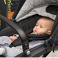 Nuna Demi Grow Sibling Seat - Assorted Colours