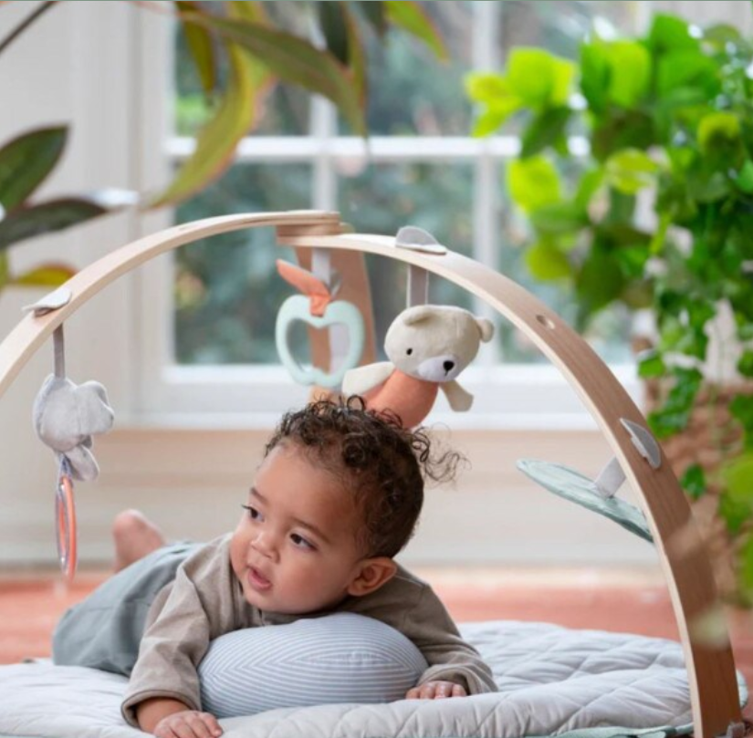 Ingenuity Duvet Activity Gym - Loamy