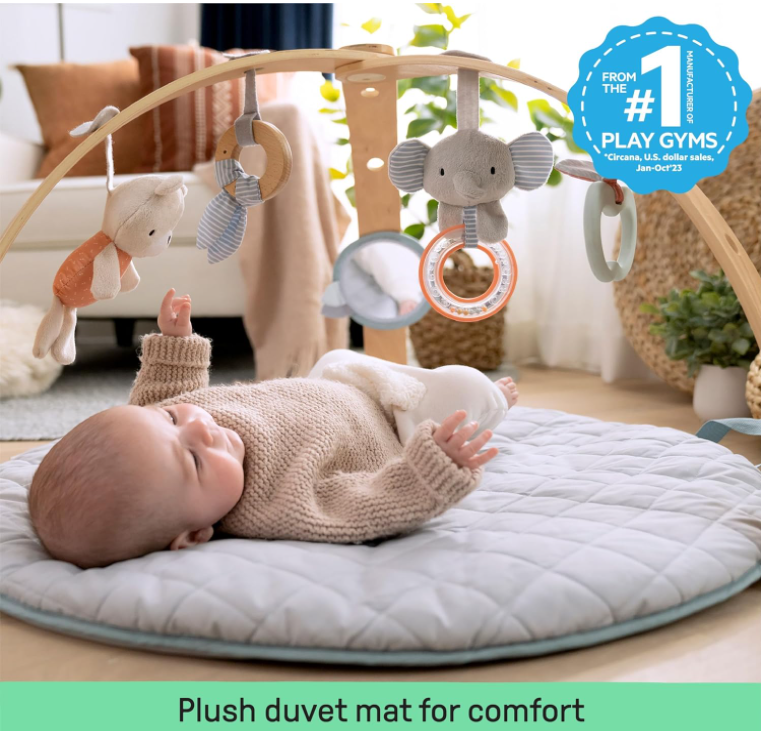 Ingenuity Duvet Activity Gym - Loamy