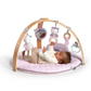 Ingenuity Cozy Spot Activity Gym - Calla