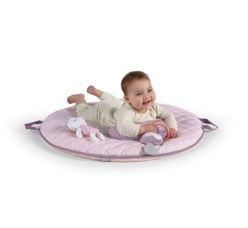 Ingenuity Cozy Spot Activity Gym - Calla