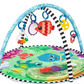Baby Einstein 2In1 Water Mat Play Gym