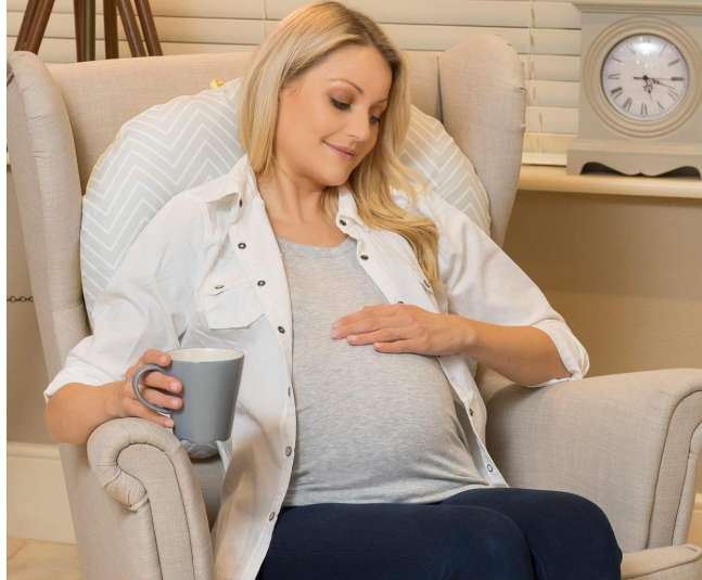 Clevamama ClevaCushion Nursing Pillow & Baby Nest - Assorted Colours