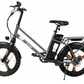 MAXIMALSG Ebike PAB 20 inch X20 48V Flexible LG cell