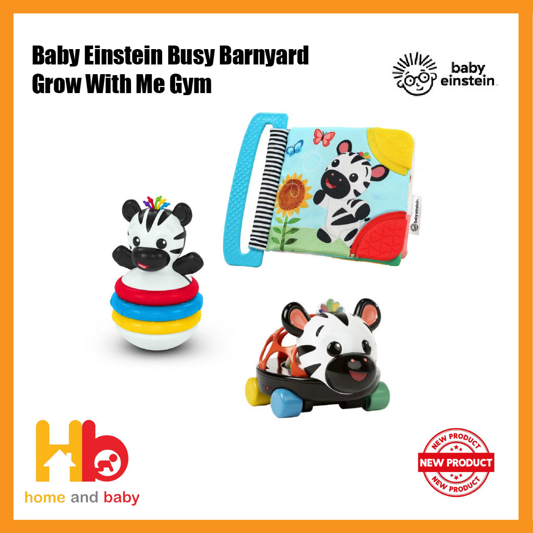 Baby Einstein Zen The Zebra Gift Set