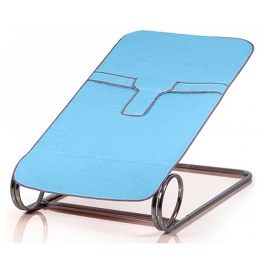 Lucky Baby Spring Bouncer (B)