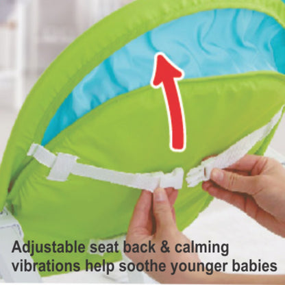 Shears Baby Rocker Musical Portable Rocker (Green / Pink)