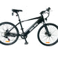 Zebra Ebike Model M