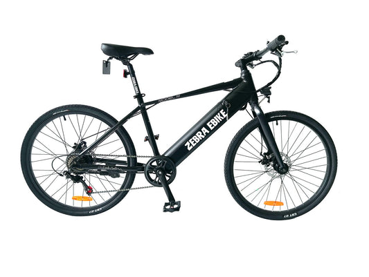 Zebra Ebike Model M