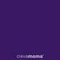 Clevamama ClevaCushion Nursing Pillow & Baby Nest - Assorted Colours