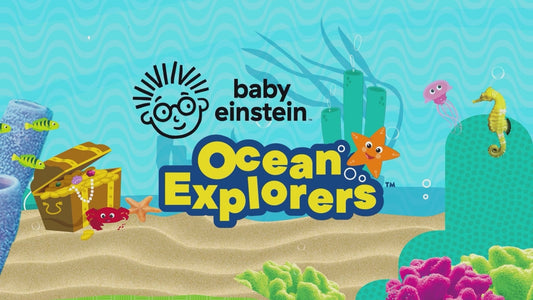 Baby Einstein Airplane Adventure 2-In-1 Activity Jumper