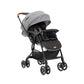Joie SMA Baggi 4WD Drift Signature stroller